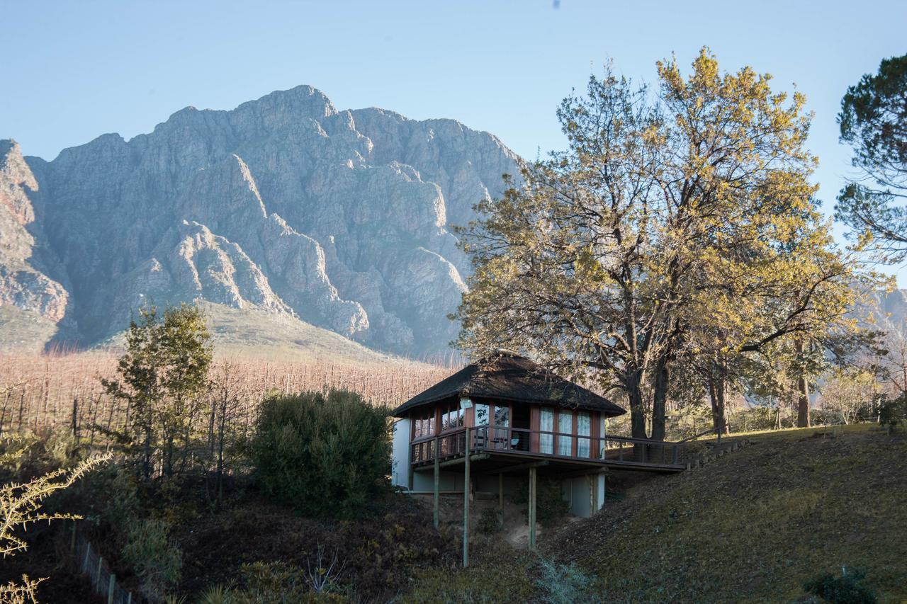 Гостевой дом Tulbagh Mountain Manor Кейптаун Экстерьер фото